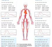Sample clinical report